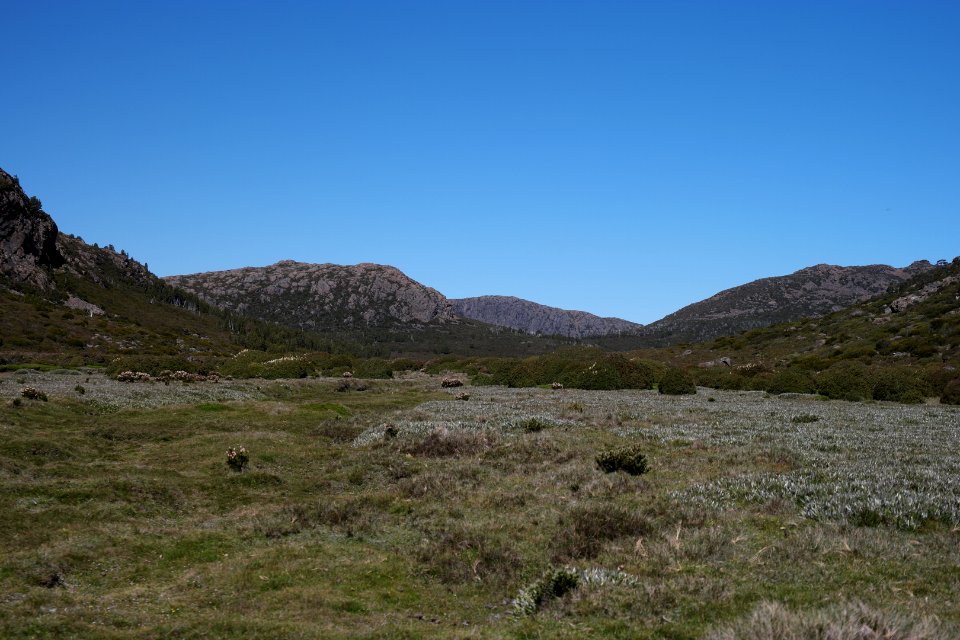 Walls of Jerusalem National Park, Tasmania 101