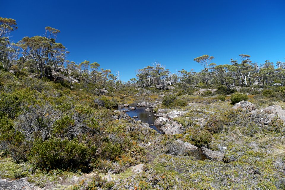 Walls of Jerusalem National Park, Tasmania 42