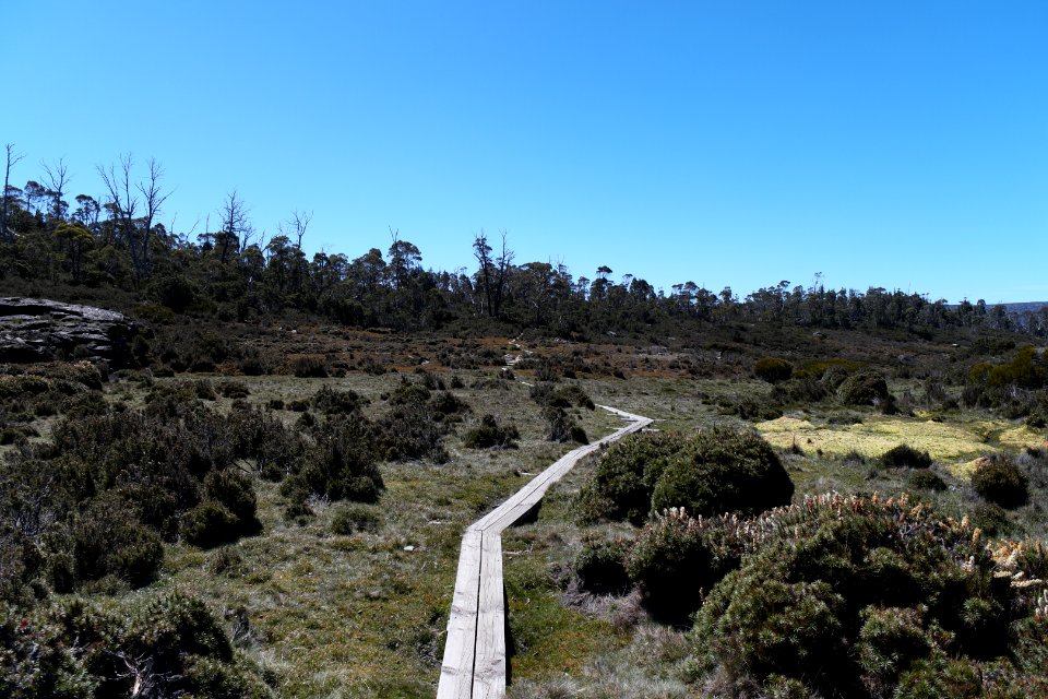 Walls of Jerusalem National Park, Tasmania 88