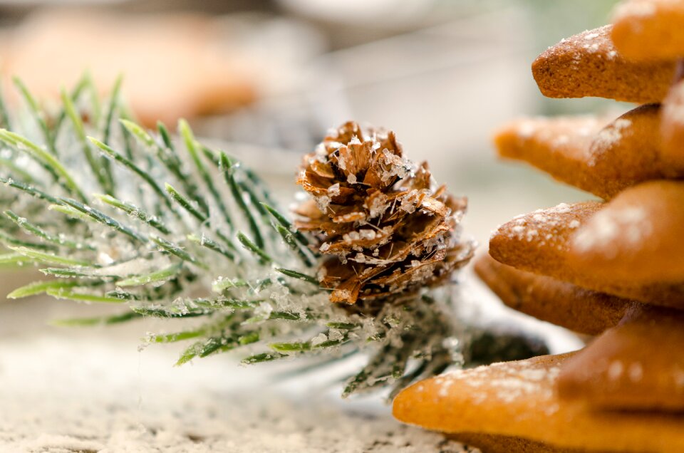Dessert christmas cone
