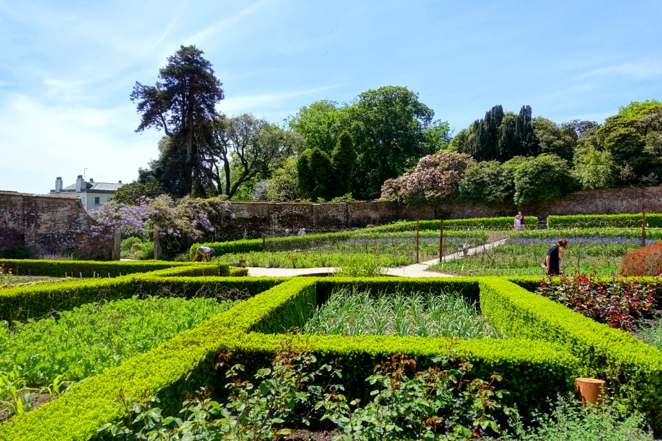 Walled gardens - Lost Gardens of Heligan - Cornwall, England - DSC02848