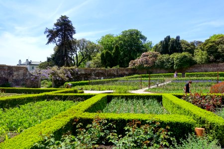 Walled gardens - Lost Gardens of Heligan - Cornwall, England - DSC02848