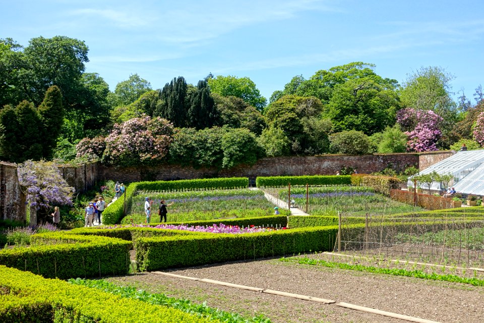 Walled gardens - Lost Gardens of Heligan - Cornwall, England - DSC02844