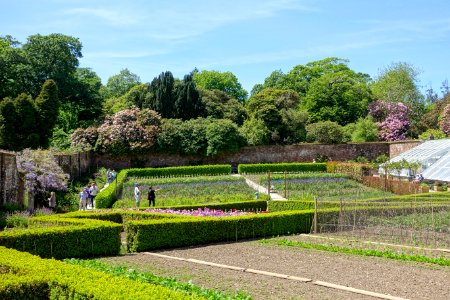 Walled gardens - Lost Gardens of Heligan - Cornwall, England - DSC02844