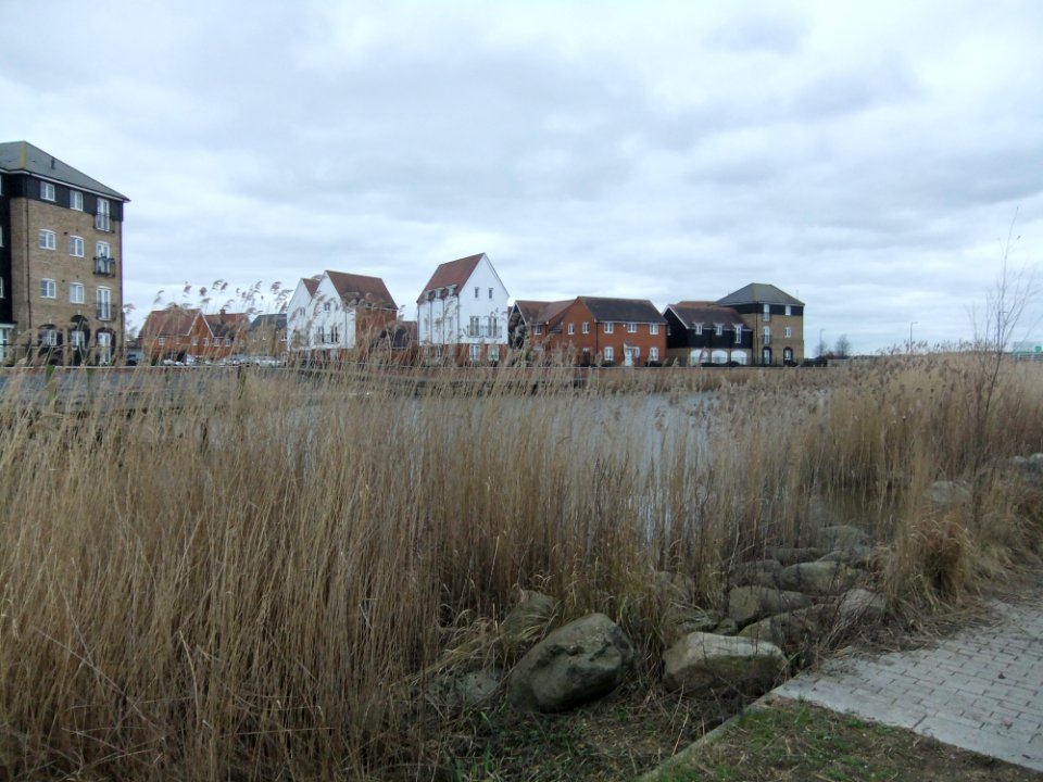 WixamPondA