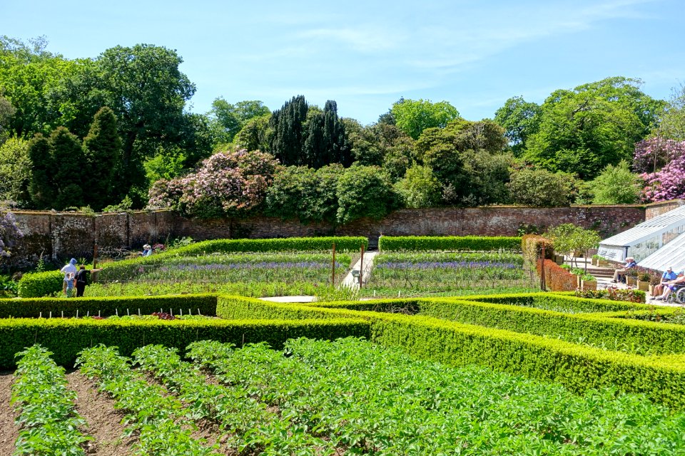 Walled gardens - Lost Gardens of Heligan - Cornwall, England - DSC02846