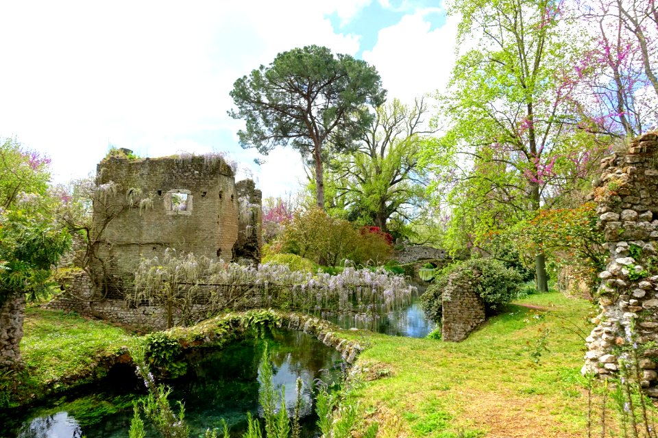 Wisteria bridge - Giardino di Ninfa, Italy - DSC03117