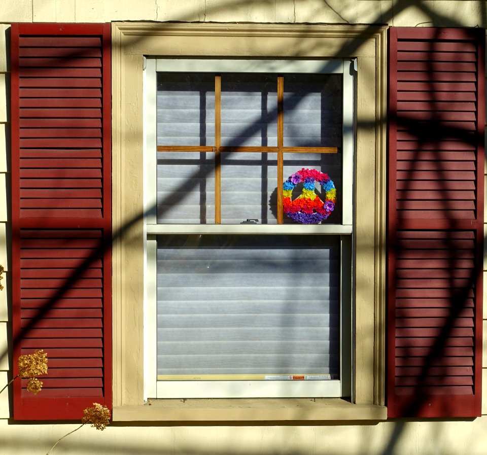 Window - Arlington, MA - DSC03712