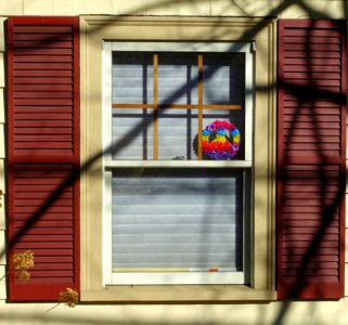 Window - Arlington, MA - DSC03712
