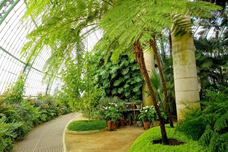 Winter Garden interior - Laeken Royal Greenhouses - Royal Castle of Laeken - Brussels, Belgium - DSC07423