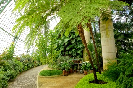 Winter Garden interior - Laeken Royal Greenhouses - Royal Castle of Laeken - Brussels, Belgium - DSC07423