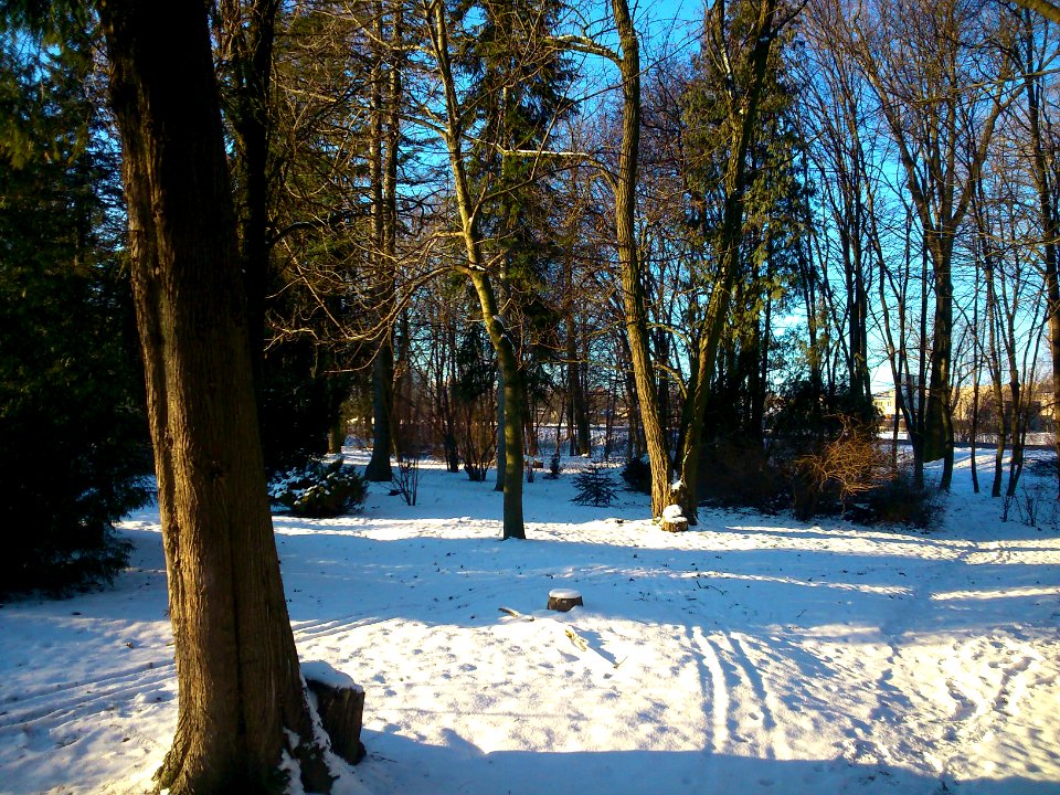 Winter park- Miskininku Street Jonava, '14