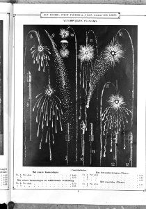 Vuurwerkcatalogus, Bestanddeelnr 901-4057