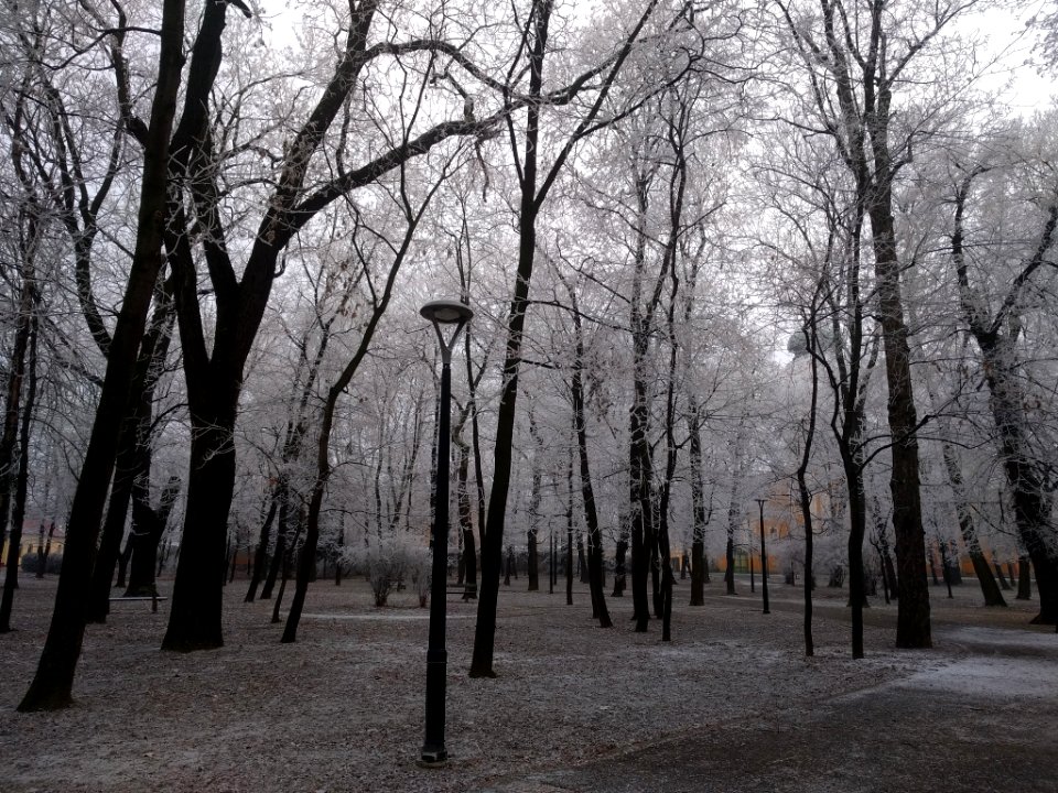 Winter Park (200922889)