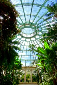 Winter Garden dome interior - Laeken Royal Greenhouses - Royal Castle of Laeken - Brussels, Belgium - DSC07462