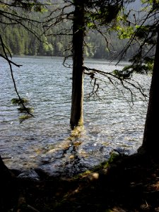 Vylet k Cernemu jezeru Sumava - 9.srpna 2010 169