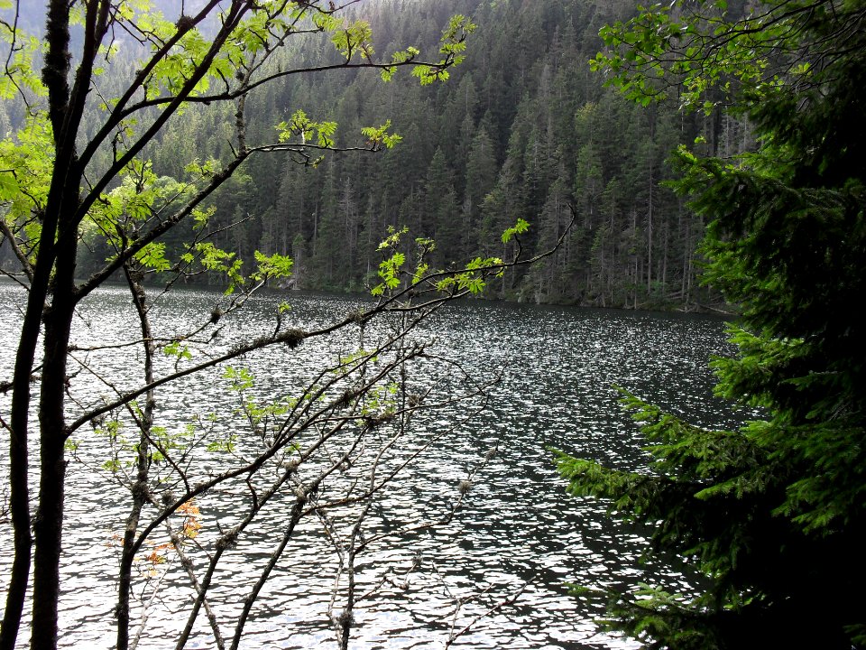 Vylet k Cernemu jezeru Sumava - 9.srpna 2010 180