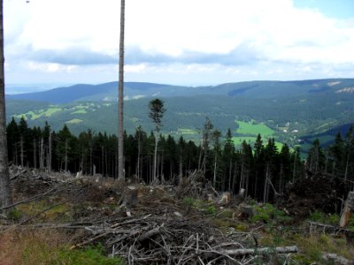 Vylet k Cernemu jezeru Sumava - 9.srpna 2010 43