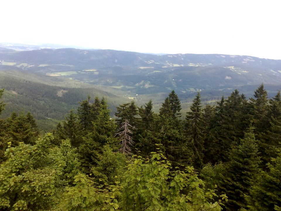 Vylet na Ostry, Sumava - 9 cervenec 2011 140
