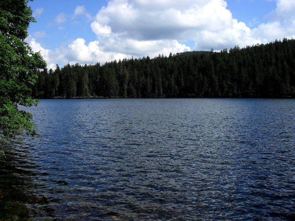 Vylet k Cernemu jezeru Sumava - 9.srpna 2010 222