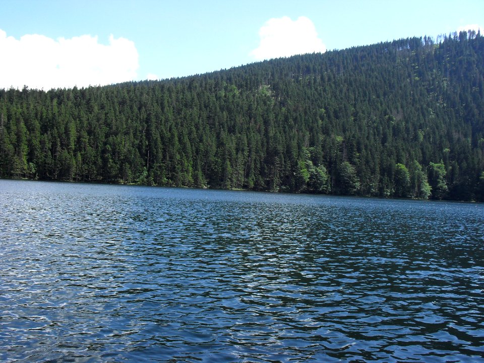 Vylet k Cernemu jezeru Sumava - 9.srpna 2010 226