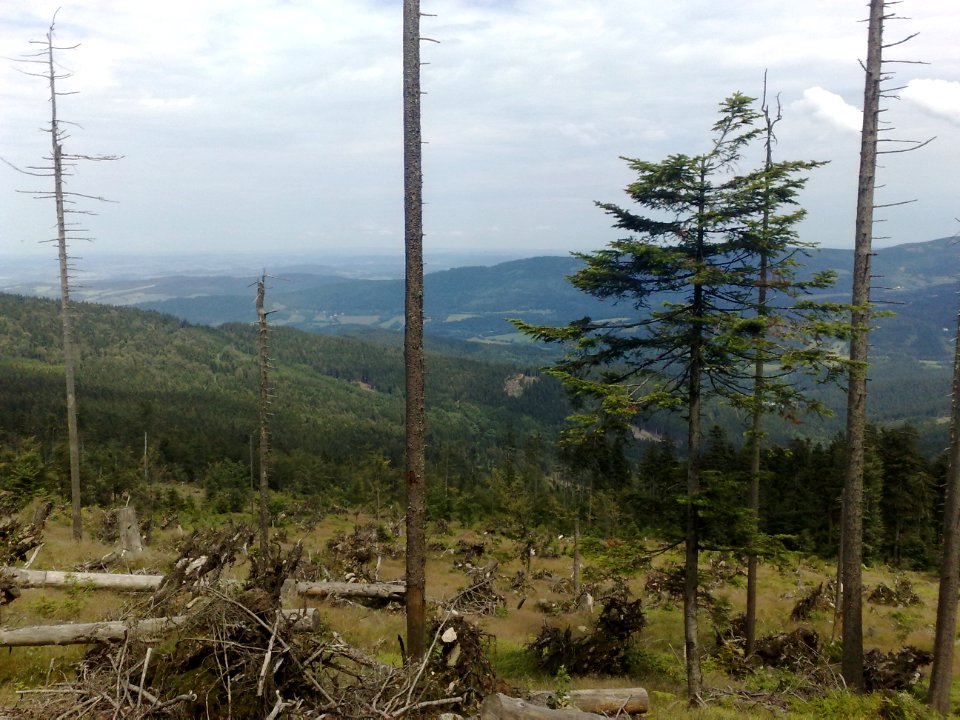 Vylet na Ostry, Sumava - 9 cervenec 2011 100