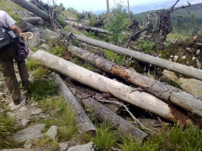 Vylet na Ostry, Sumava - 9 cervenec 2011 101