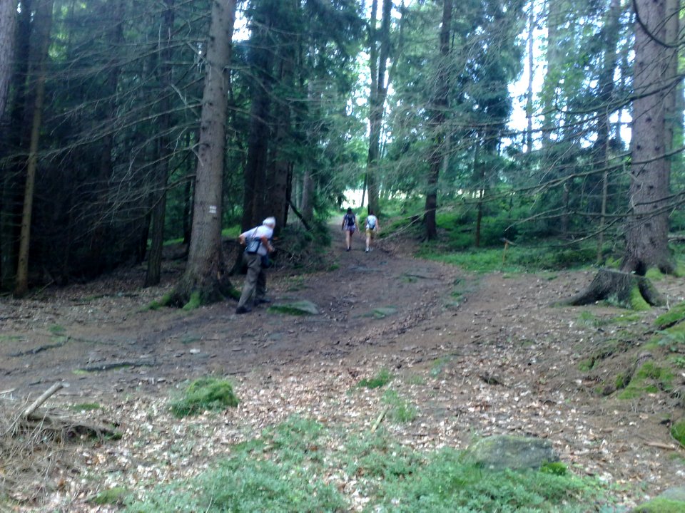 Vylet na Ostry, Sumava - 9 cervenec 2011 15
