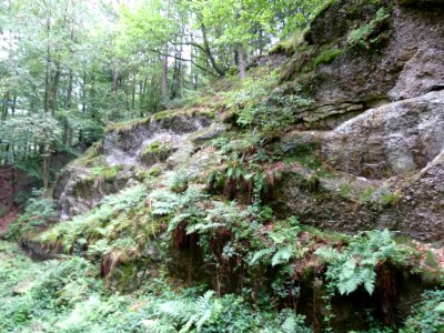 Wéris-La carrière (8)