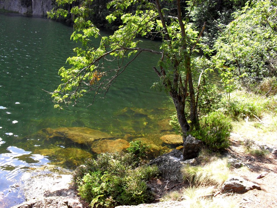 Vylet k Cernemu jezeru Sumava - 9.srpna 2010 202