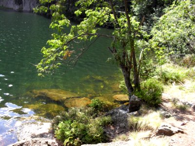 Vylet k Cernemu jezeru Sumava - 9.srpna 2010 202
