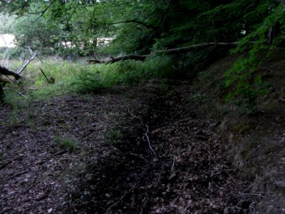 Wäschbach unter Mündung Schwengelpunpe Weg R0016377