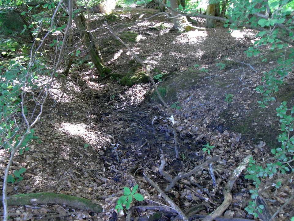 Wäschbach Mündung von Schwengelpumpe in Weg R0015225