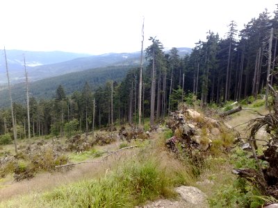 Vylet na Ostry, Sumava - 9 cervenec 2011 108