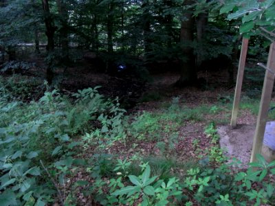Wäschbach Abfluss ab Brunnen R0016371