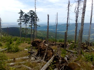 Vylet na Ostry, Sumava - 9 cervenec 2011 119