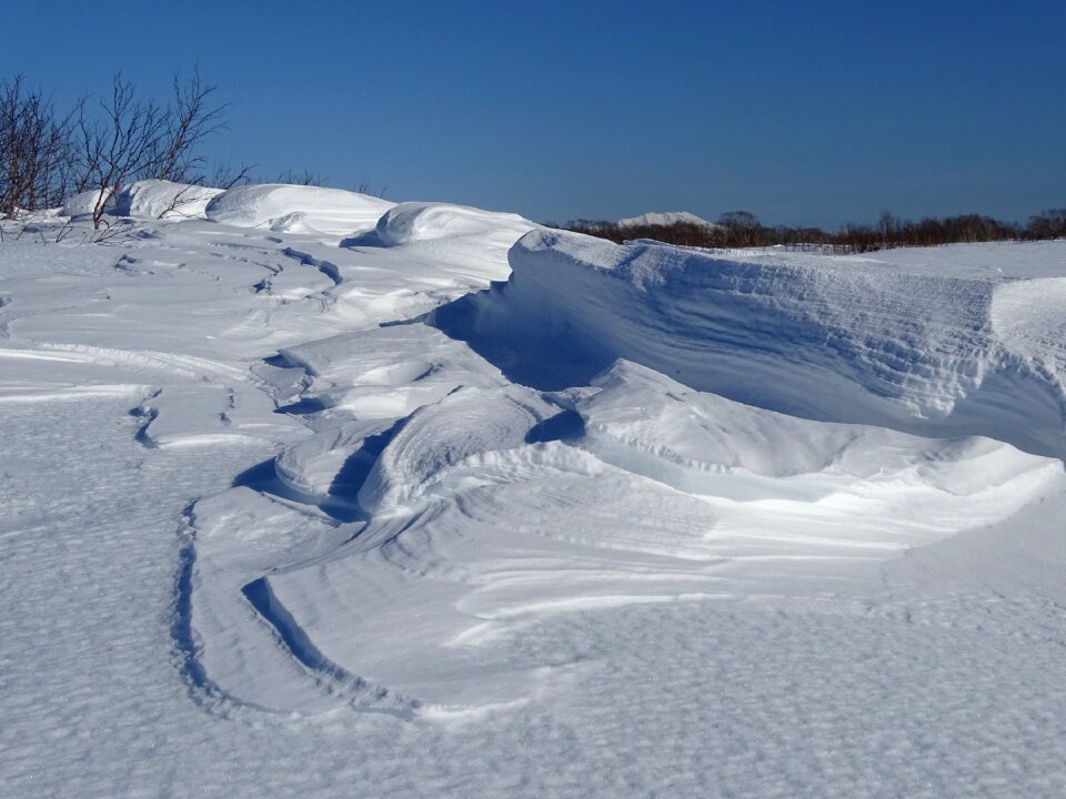 Snowdrifts wind coldly