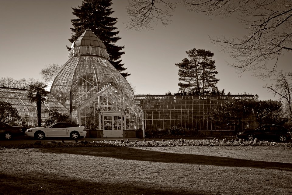 W. W. Seymour Botanical Conservatory (pic2)