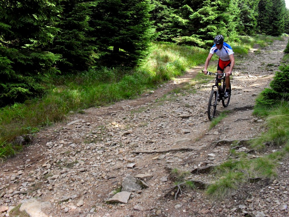 Vylet k Cernemu jezeru Sumava - 9.srpna 2010 250