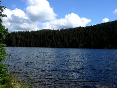 Vylet k Cernemu jezeru Sumava - 9.srpna 2010 228