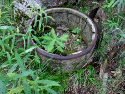 Vylet k Cernemu jezeru Sumava - 9.srpna 2010 184