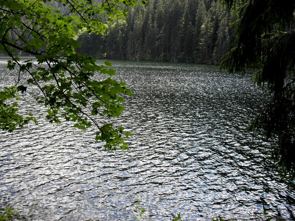 Vylet k Cernemu jezeru Sumava - 9.srpna 2010 183