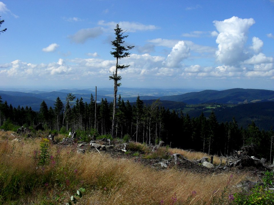 Vylet k Cernemu jezeru Sumava - 9.srpna 2010 270