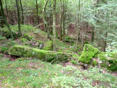 Wéris-La carrière (4)
