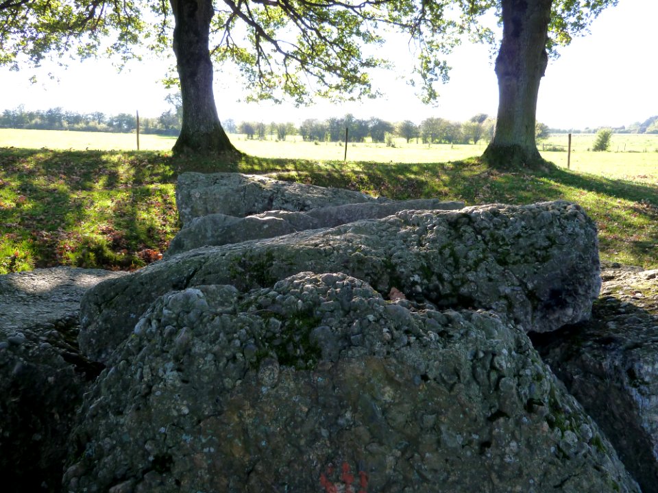 Wéris-dolmen d'Oppagne (17)