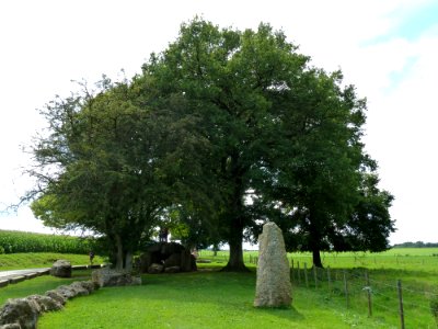 Wéris-Dolmen de Wéris (2)