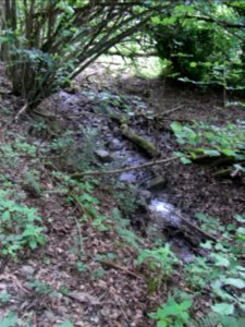 Wäschbach ober Fischteichen R0015142