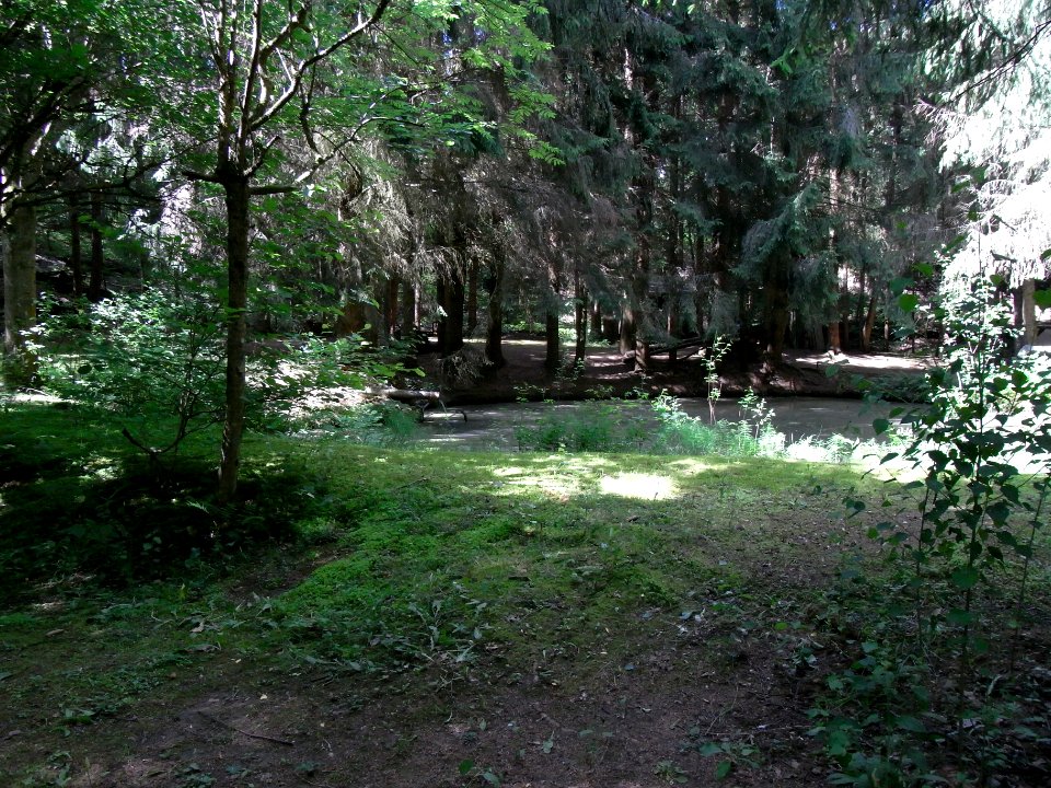 Wäschbach Fischteiche R0015137