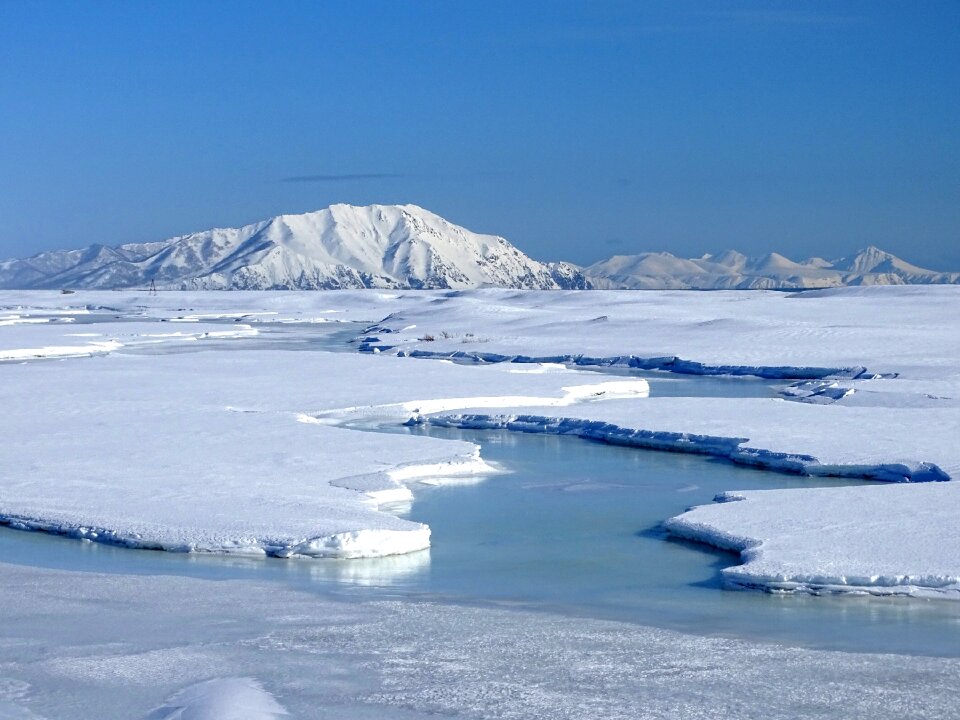Ice cold frost winter