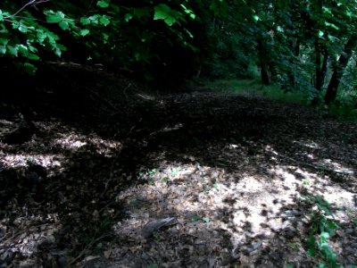 Wäschbach Graben an Weg oben abwärts R0016378